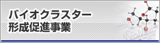 バイオクラスター形成促進事業