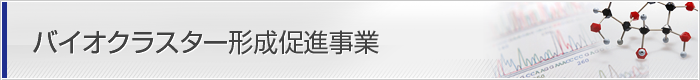 バイオクラスター形成促進事業