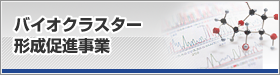 バイオクラスター形成促進事業