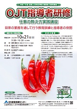 チラシ表面(PDF)