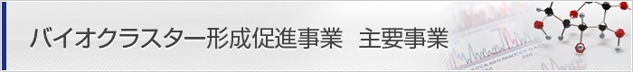 バイオクラスター形成促進事業 主要事業
